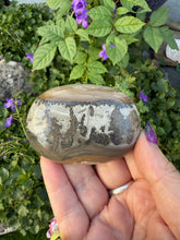 Load image into Gallery viewer, Stromatolite Cotham Marble Palmstone
