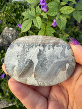 Load image into Gallery viewer, Stromatolite Cotham Marble Palmstone
