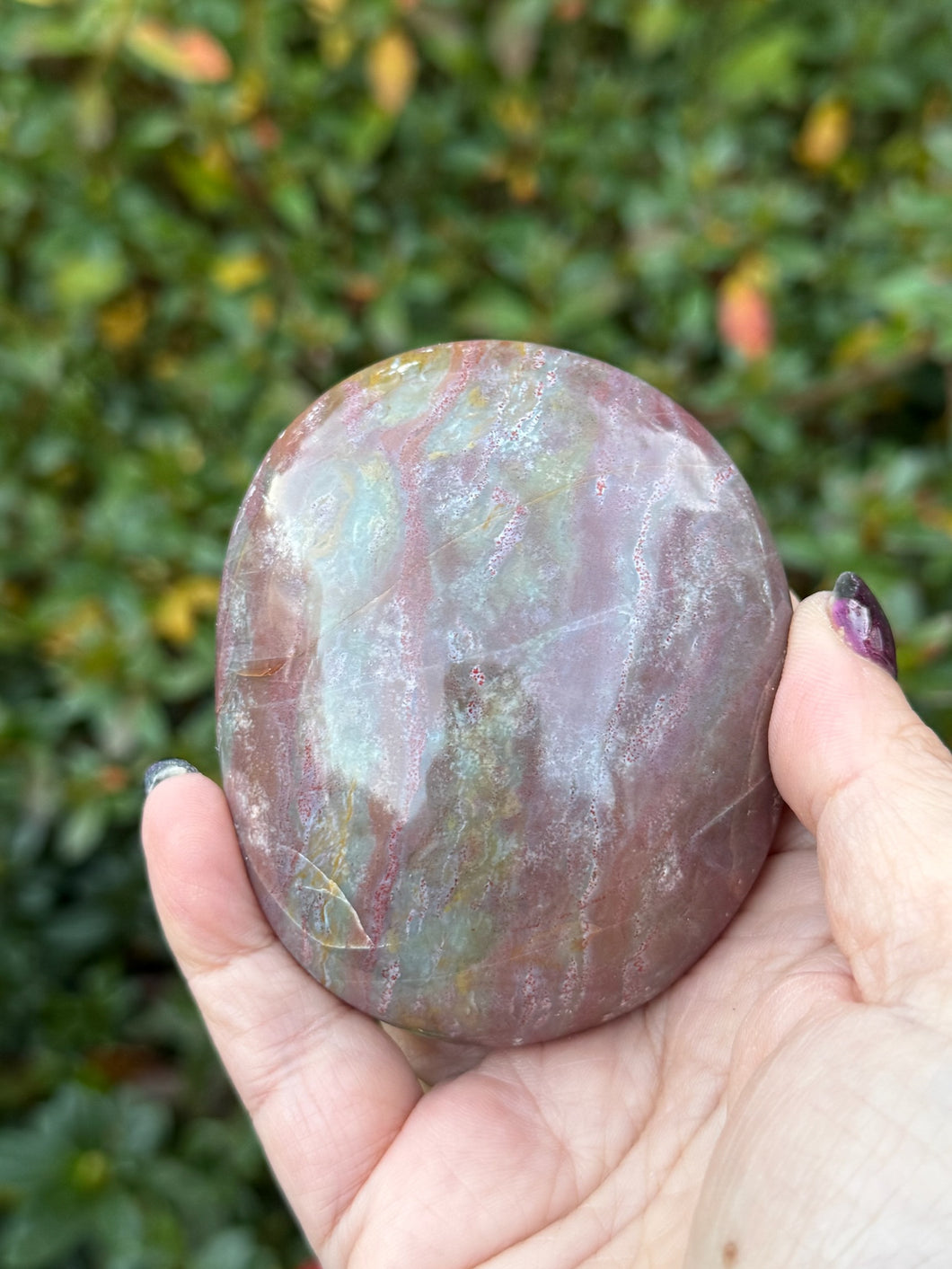 Large Ocean Jasper Palmstone