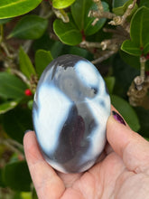 Load image into Gallery viewer, Orca Agate Palmstone
