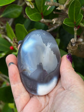 Load image into Gallery viewer, Orca Agate Palmstone
