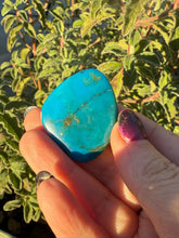 Load image into Gallery viewer, Rare Gem Silica Chrysocolla in Opal Palmstone
