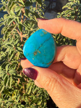 Load image into Gallery viewer, Rare Gem Silica Chrysocolla in Opal Palmstone
