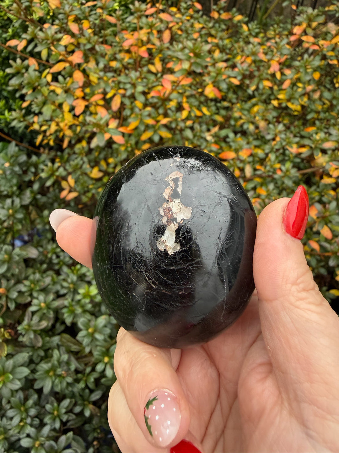 Black Tourmaline Palmstone