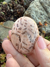 Load image into Gallery viewer, Smokey Quartz and Feldspar Palmstone
