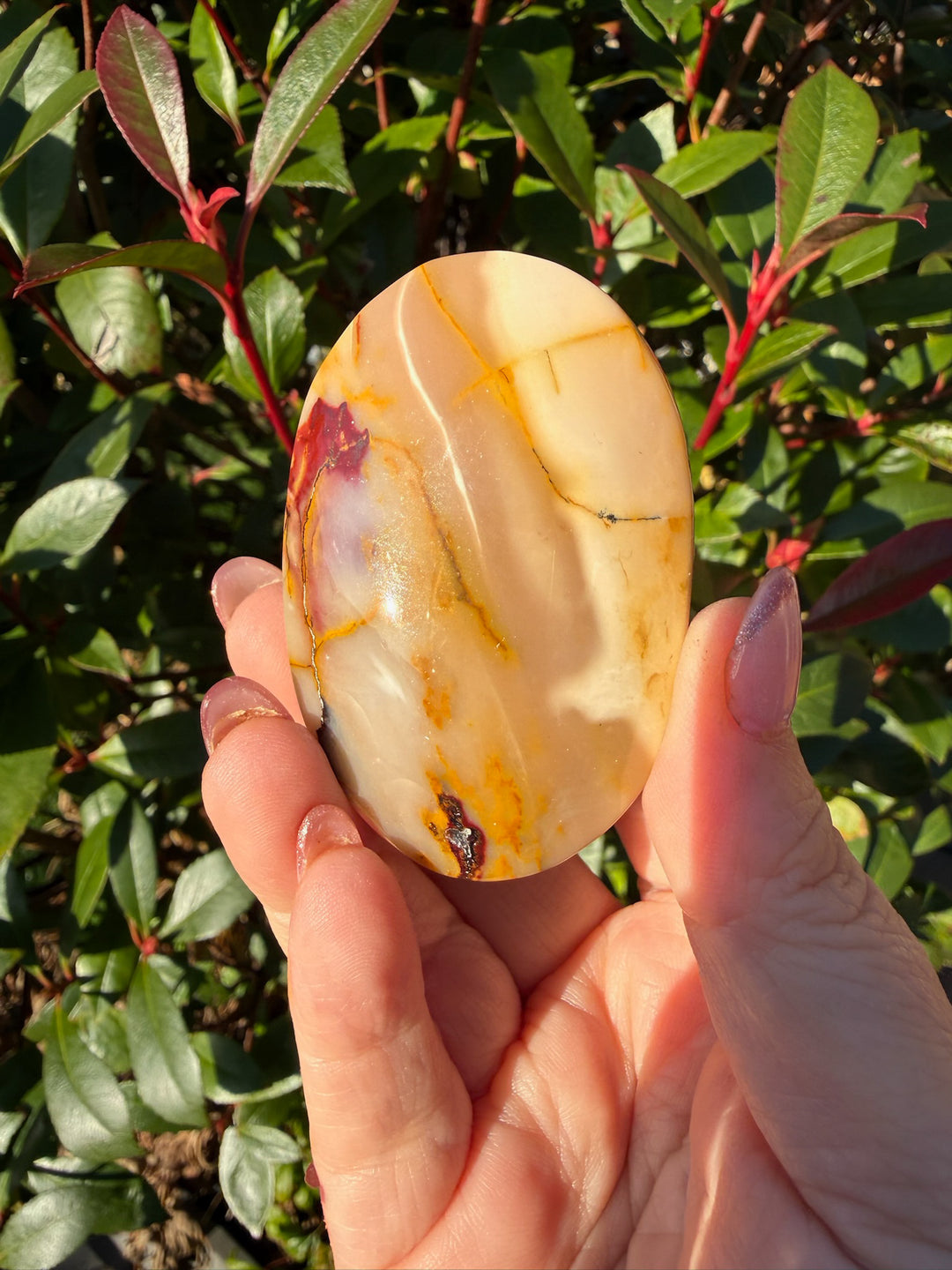 Mookaite Jasper Palmstone