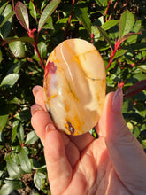 Load image into Gallery viewer, Mookaite Jasper Palmstone
