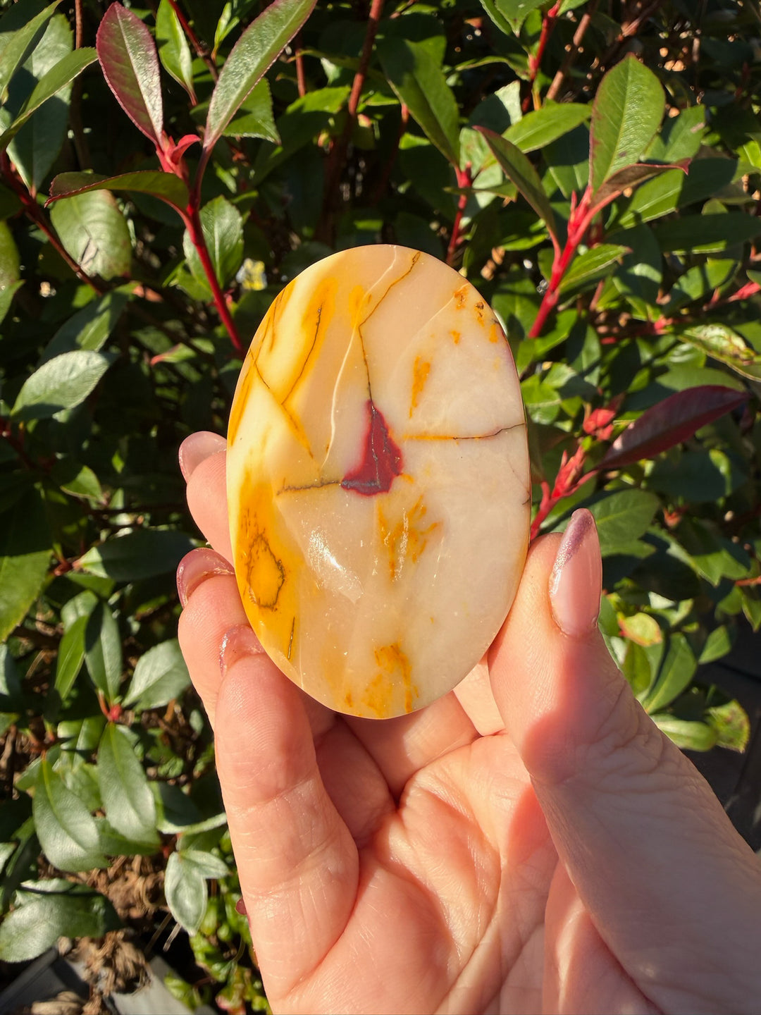 Mookaite Jasper Palmstone