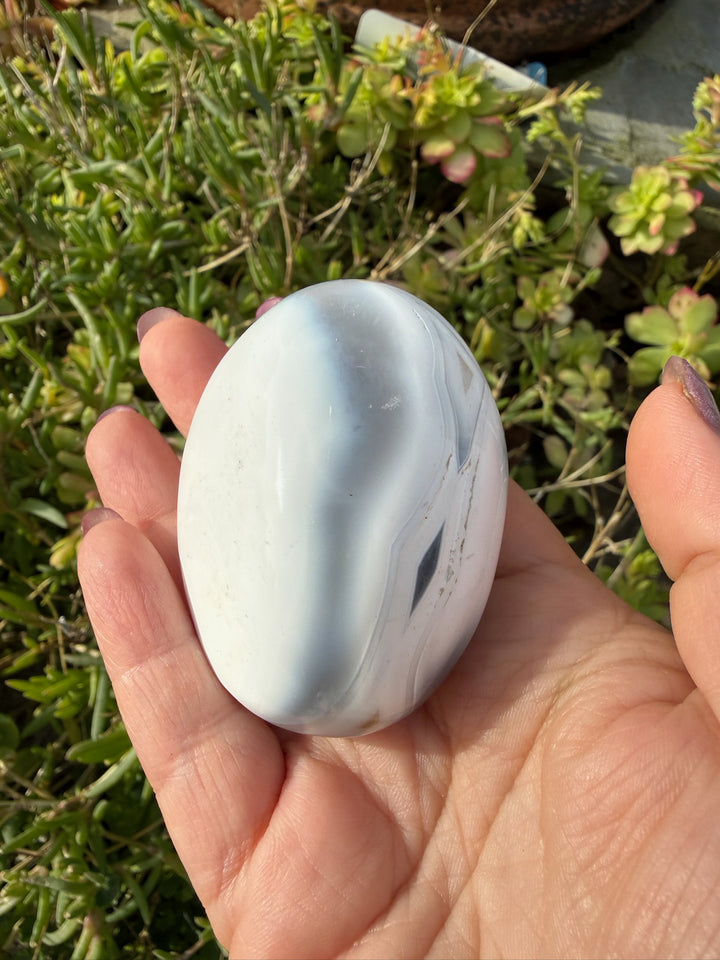 Tactile Orca Agate Palmstone