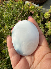Load image into Gallery viewer, Tactile Orca Agate Palmstone
