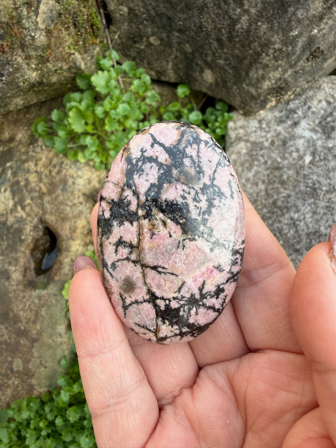 Rhodonite Palmstone