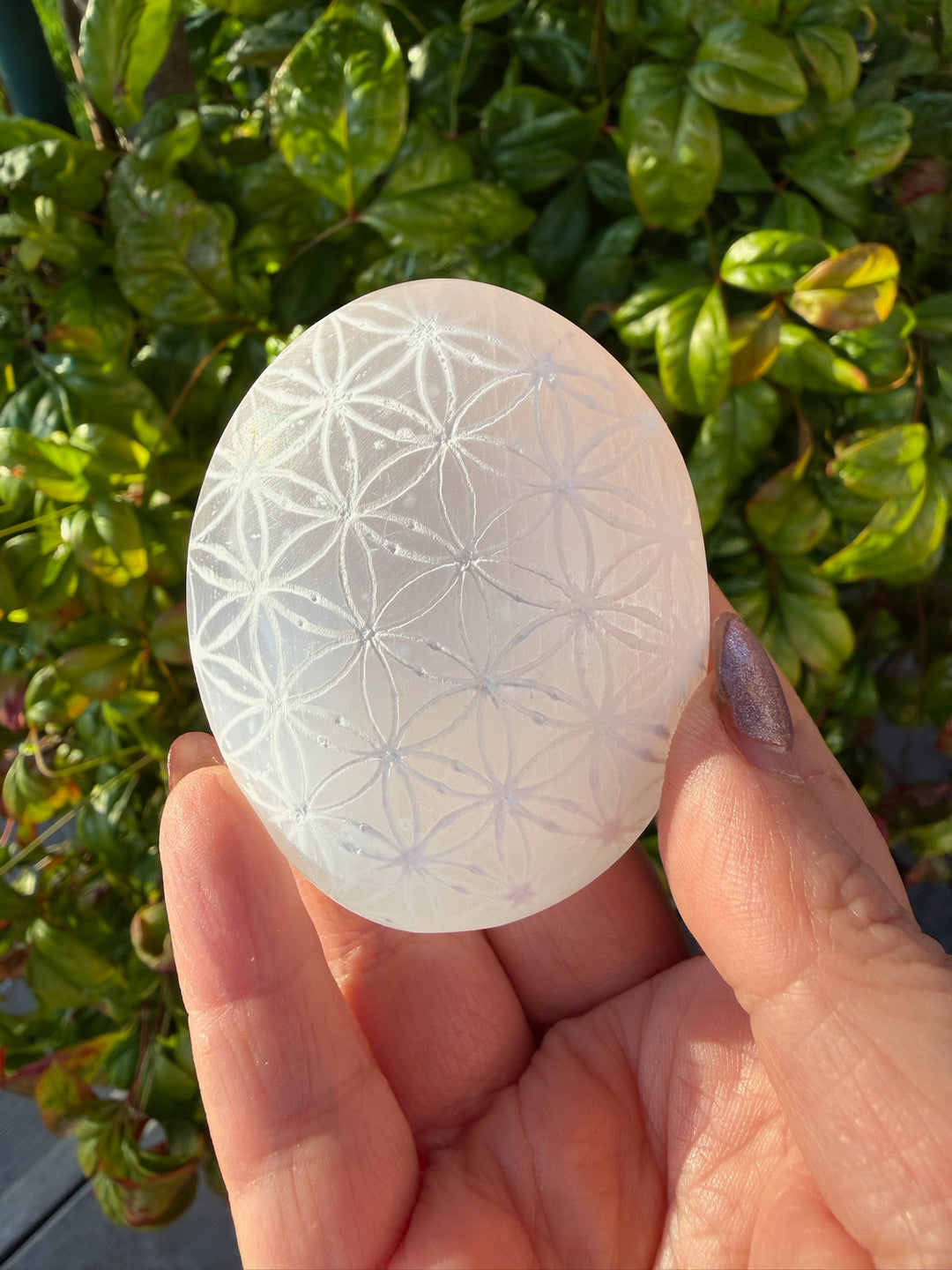 Satin Spa Palmstone with Tree of Life Pattern