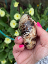 Load image into Gallery viewer, Large Cappuccino Opal Palmstone
