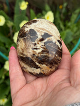 Load image into Gallery viewer, Large Cappuccino Opal Palmstone

