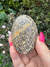 Load image into Gallery viewer, Leopard Skin Jasper Palmstone
