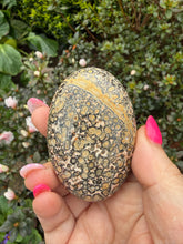 Load image into Gallery viewer, Leopard Skin Jasper Palmstone
