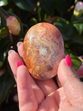 Load image into Gallery viewer, Crazy Lace Agate Palmstone
