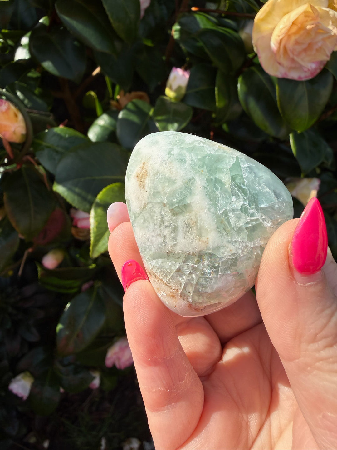 Large Mexico Fluorite Palmstone
