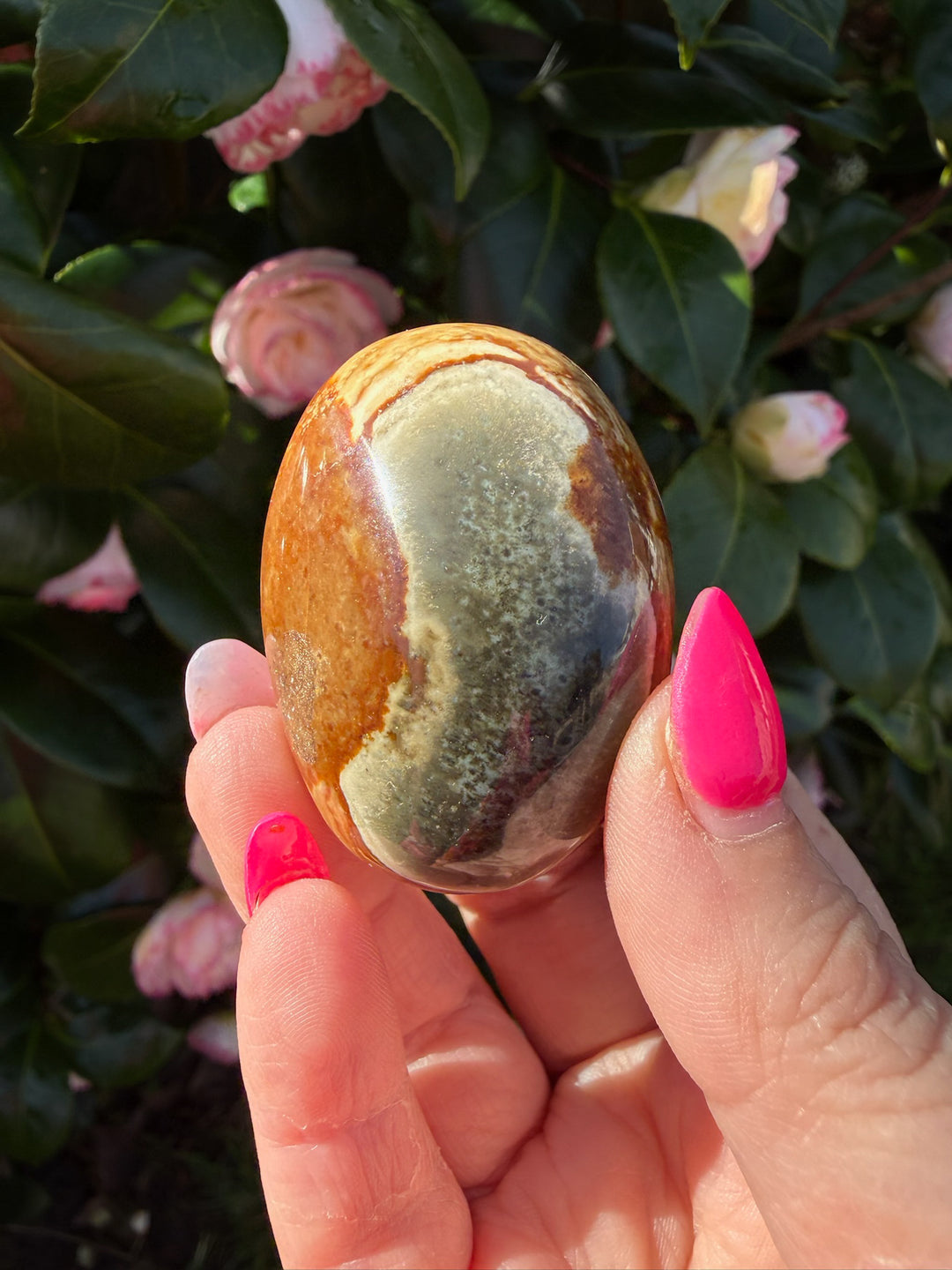 Polychrome Jasper Palmstone
