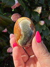 Load image into Gallery viewer, Polychrome Jasper Palmstone

