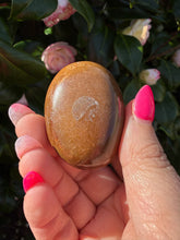 Load image into Gallery viewer, Polychrome Jasper Palmstone

