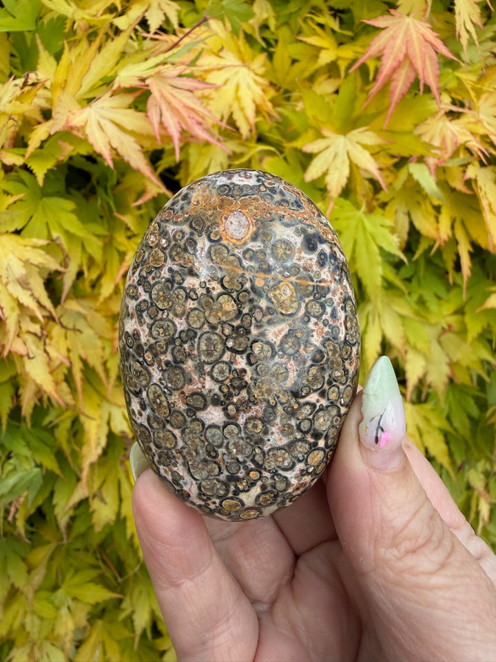 Leopard Skin Jasper Palmstone