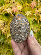 Load image into Gallery viewer, Leopard Skin Jasper Palmstone
