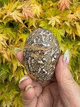 Load image into Gallery viewer, Leopard Skin Jasper Palmstone
