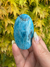 Load image into Gallery viewer, Gemmy Blue Apatite Palmstone
