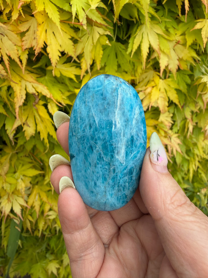 Gemmy Blue Apatite Palmstone