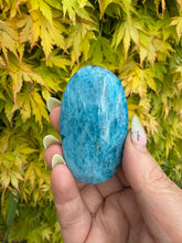 Load image into Gallery viewer, Gemmy Blue Apatite Palmstone
