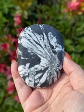 Load image into Gallery viewer, Large Chrysanthemum Stone Palmstone
