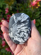 Load image into Gallery viewer, Large Chrysanthemum Stone Palmstone
