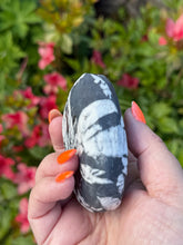 Load image into Gallery viewer, Large Chrysanthemum Stone Palmstone
