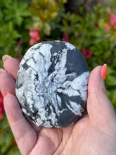 Load image into Gallery viewer, Large Chrysanthemum Stone Palmstone
