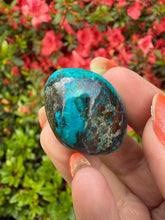 Load image into Gallery viewer, Vibrant Chrysocolla Tumblestone from Peru

