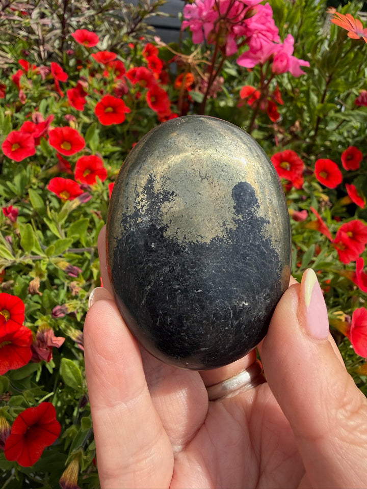 Healers Apache Gold Palmstone from Arizona