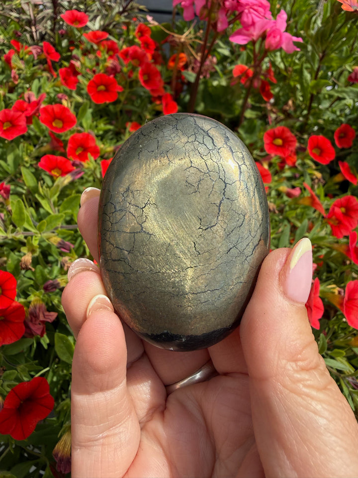 Healers Apache Gold Palmstone from Arizona