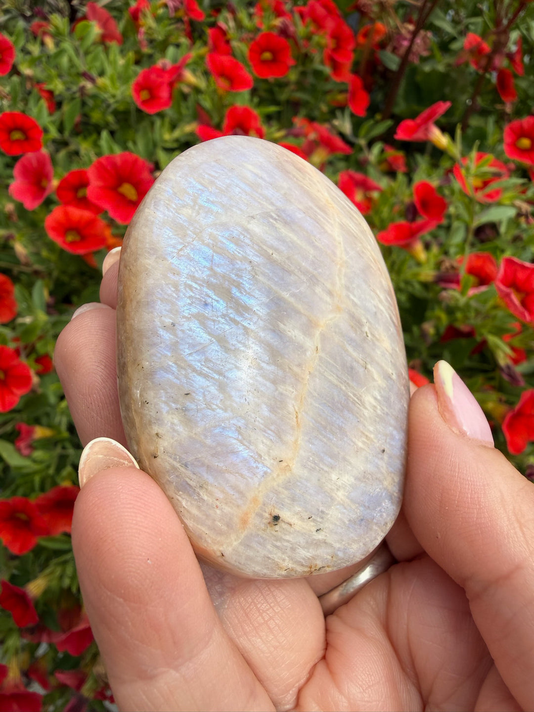 Blue Flash Moonstone Palmstone from India