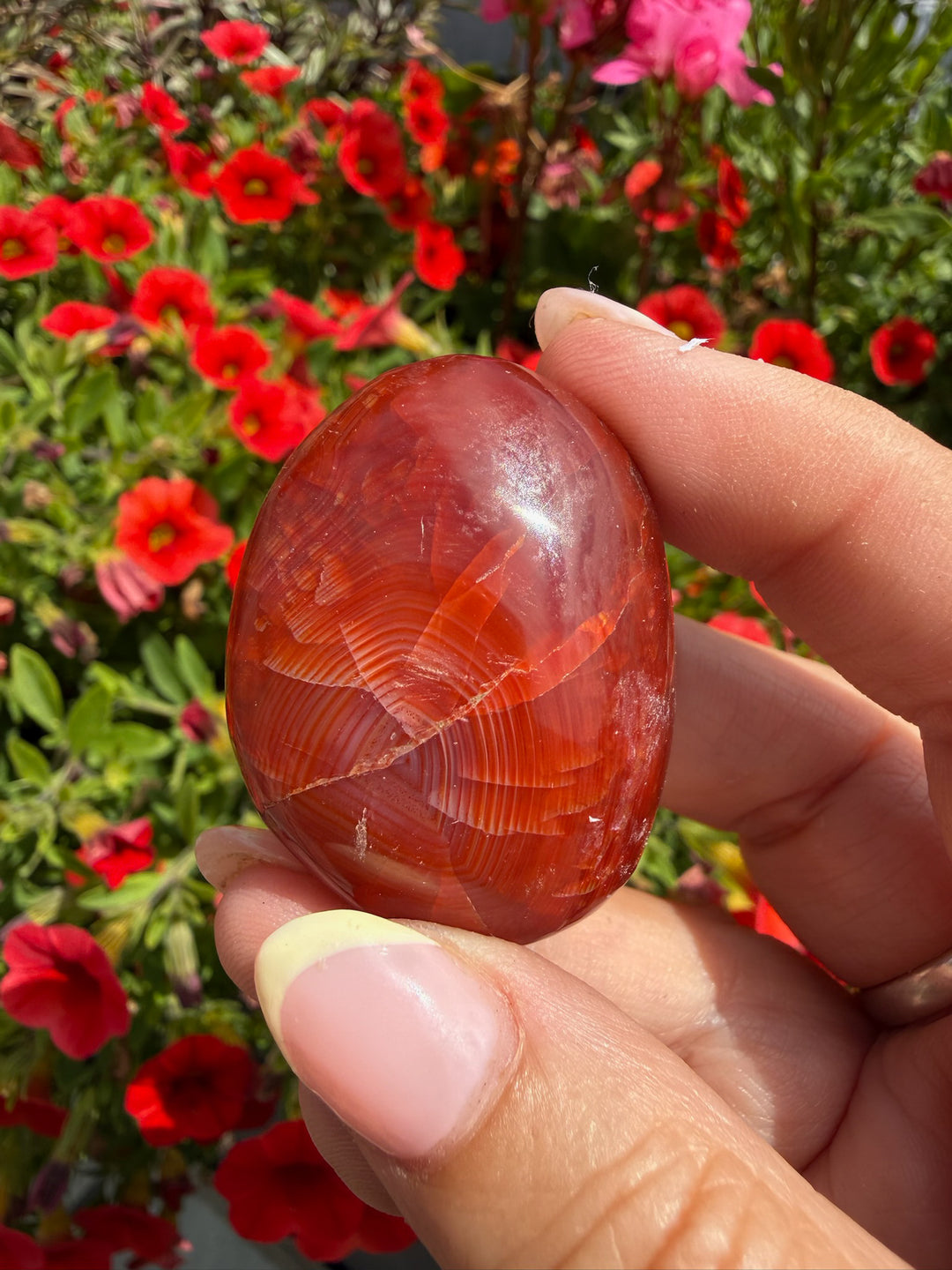 Carnelian Palmstone from Madagascar