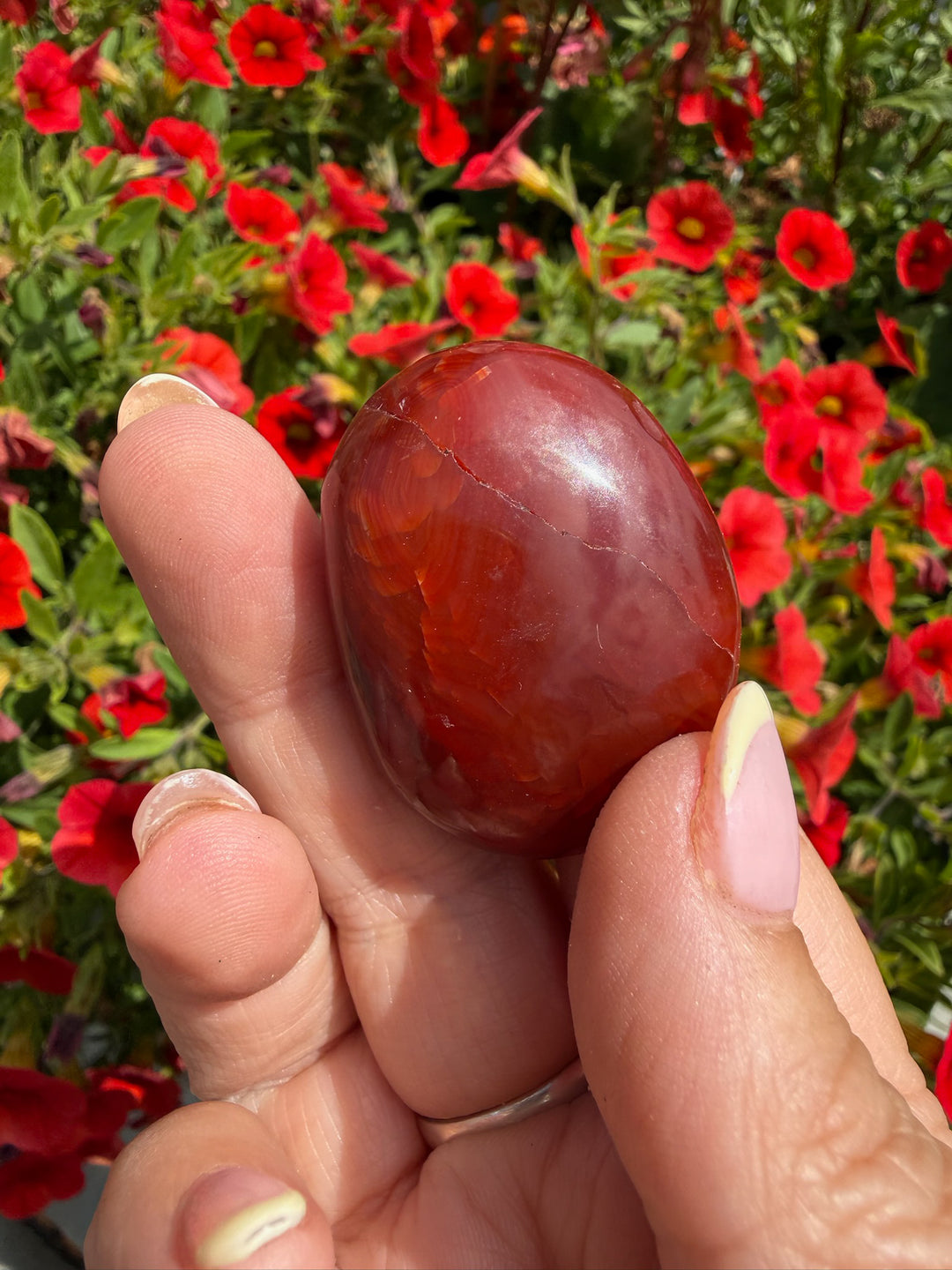 Carnelian Palmstone from Madagascar