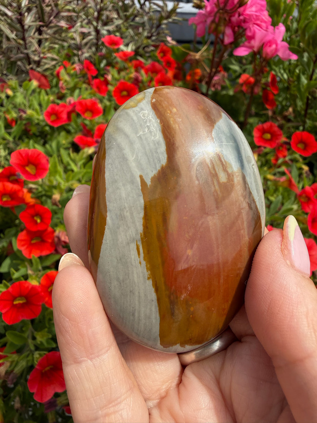 Polychrome Jasper Palmstone from Madagascar
