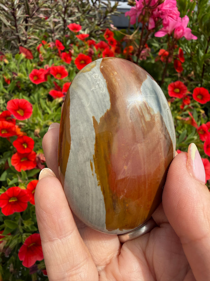 Polychrome Jasper Palmstone from Madagascar