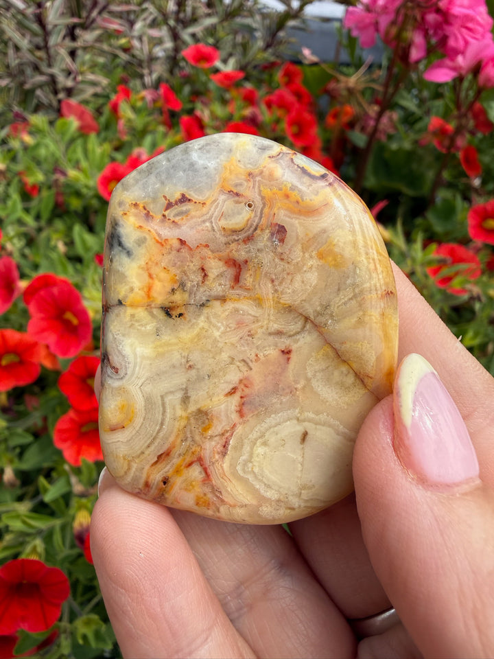 Crazy Lace Agate Palmstone from Mexico