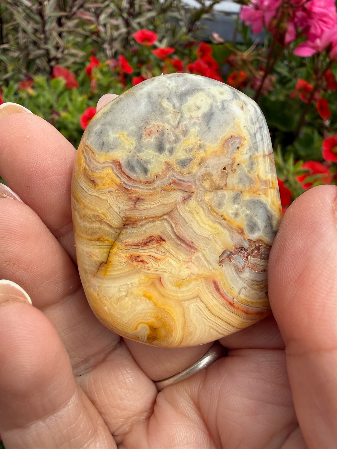 Crazy Lace Agate Palmstone from Mexico