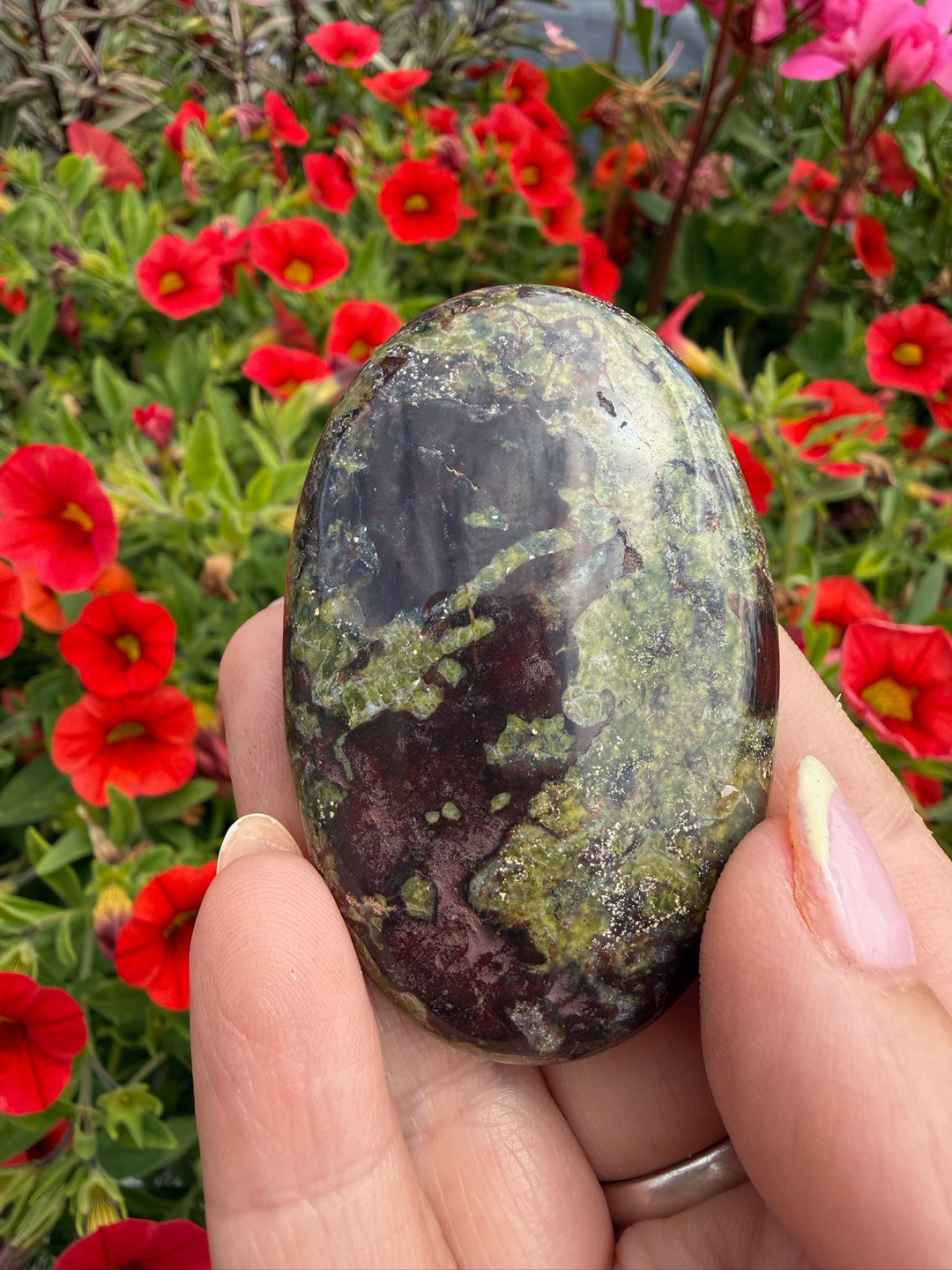 Dragons Blood Jasper Palmstone from Australia