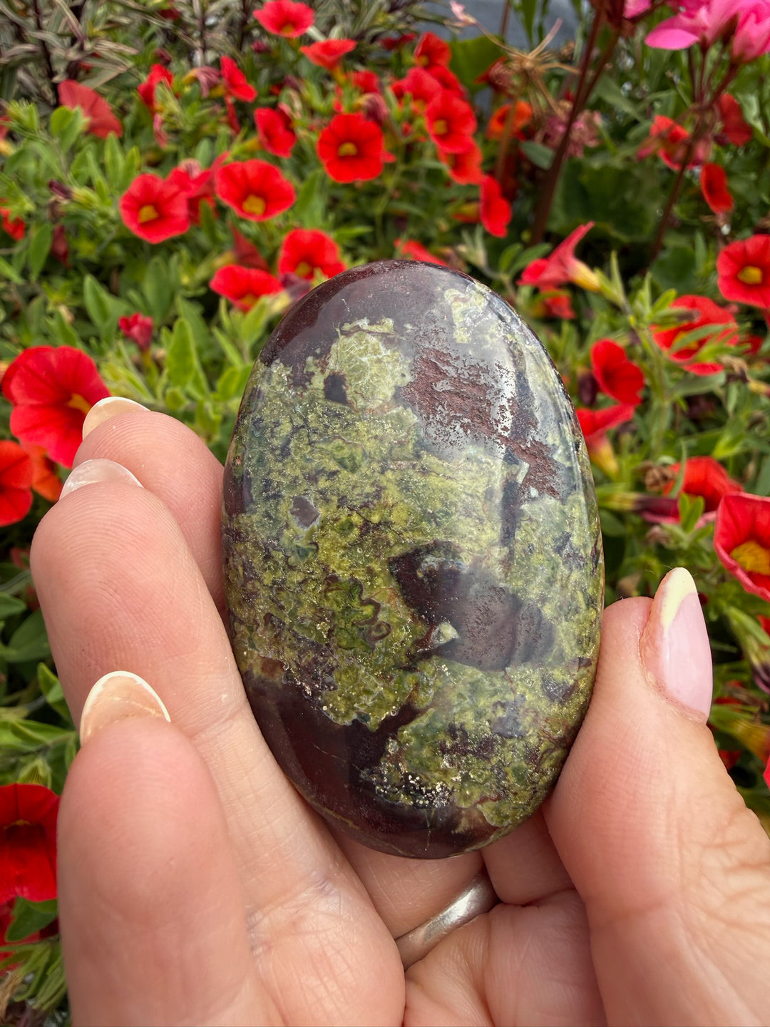 Dragons Blood Jasper Palmstone from Australia