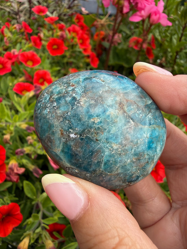 Blue Apatite Palmstone from Brazil