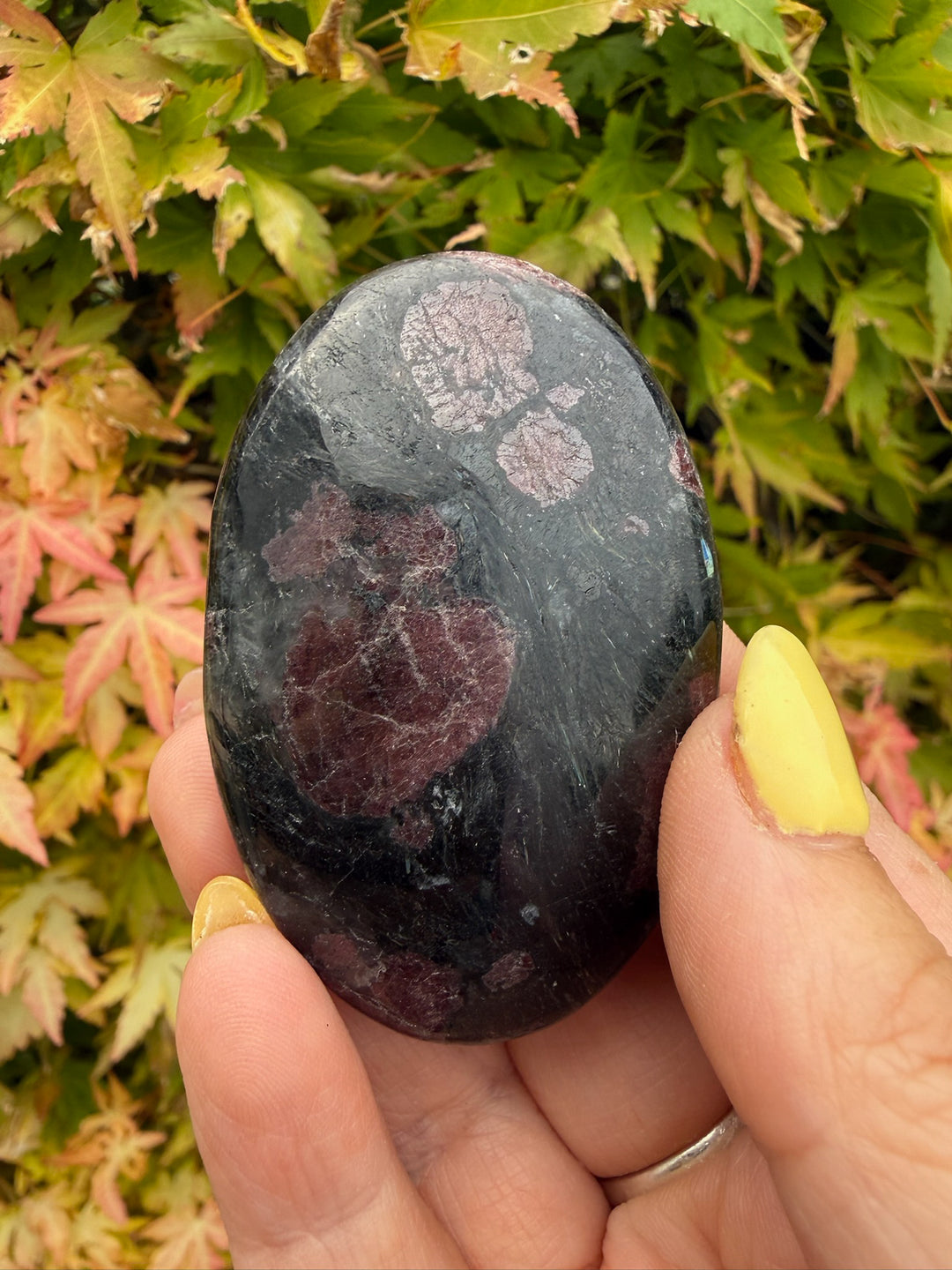 Garnet and Arfvedsonite Palmstone