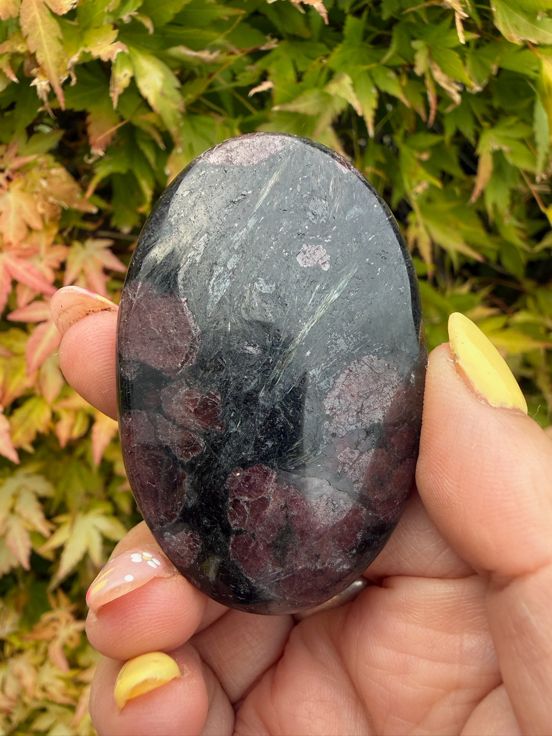 Garnet and Arfvedsonite Palmstone